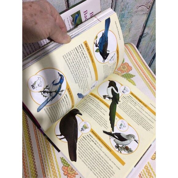 2004 Birds in your Backyard Birds & Blooms Softcover - Picture 12 of 16
